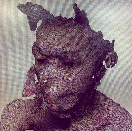 Interrupted 3D scan by artist Paul Coombs